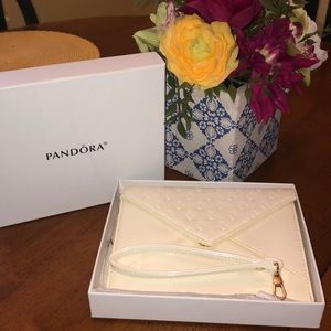 Pandora clutch/ wristlet